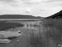 12040CrBwLeSh - Low tide, walking along the Saguenay River, L'Anse-Saint-Jean.JPG